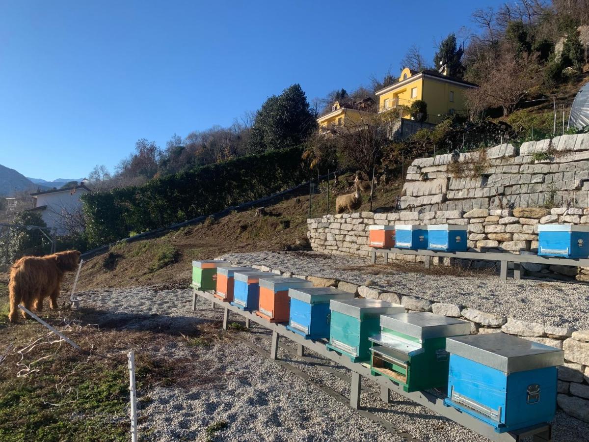 Sole Daire Verbania Dış mekan fotoğraf