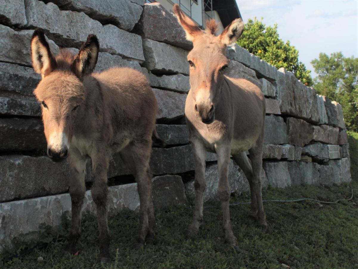 Sole Daire Verbania Dış mekan fotoğraf